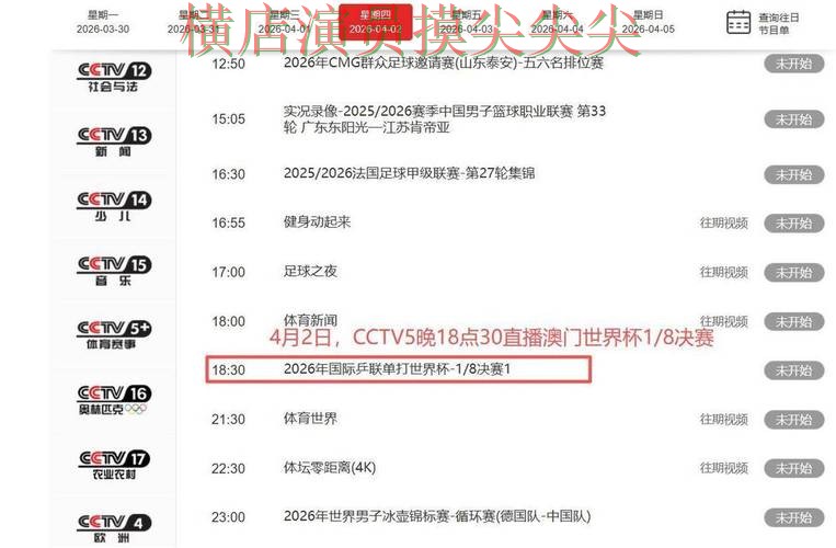 世界杯投注平台合集实测对比：聚焦速度测试与赛事直播体验 - 世界杯官方信息