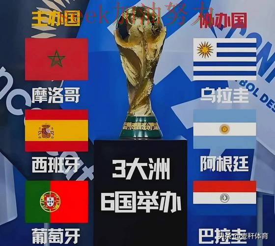 世界杯高清直播期间热门世界杯买球平台盘点与直播入口分析 世界杯高清直播期间热门世界杯买球平台盘点与直播入口分析