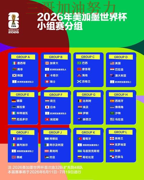 世界杯买球平台推荐如何操作？入口汇总带你了解（2026世界杯）