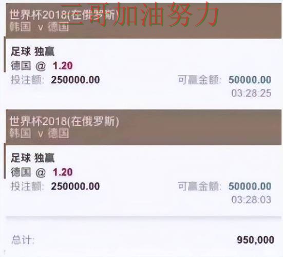 世界杯买球平台推荐如何操作？入口汇总带你了解（2026世界杯）